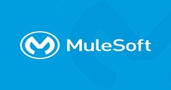 MuleSoft Online Course